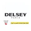 کیف حسام تعمیرگاه مجاز دلسی در ایران