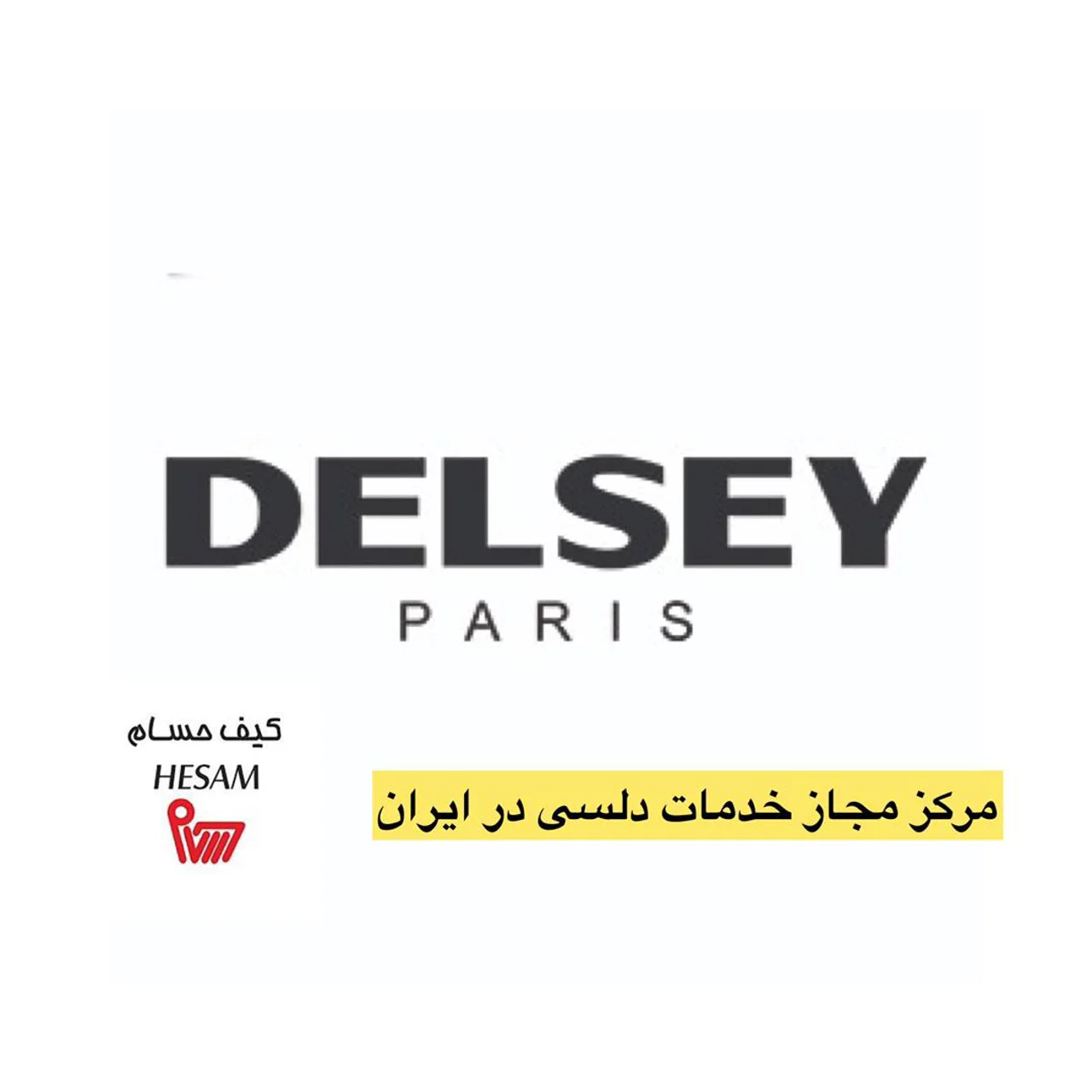 کیف حسام تعمیرگاه مجاز دلسی در ایران